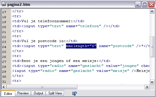 De HTML-code van het invulformulier